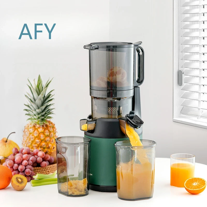 220V Slow Juicer Cold Press Ex - огляд і ціна Electric Slow Juicer Cold Press