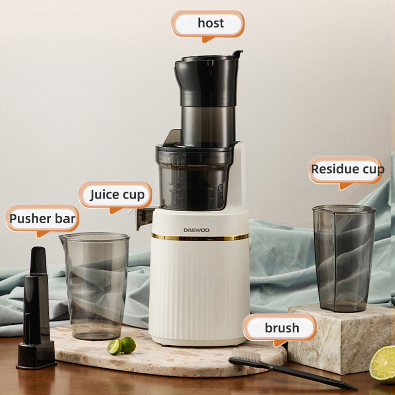 Portable Blender Electric Slow - огляд і ціна Electric Slow Juicer Cold Press