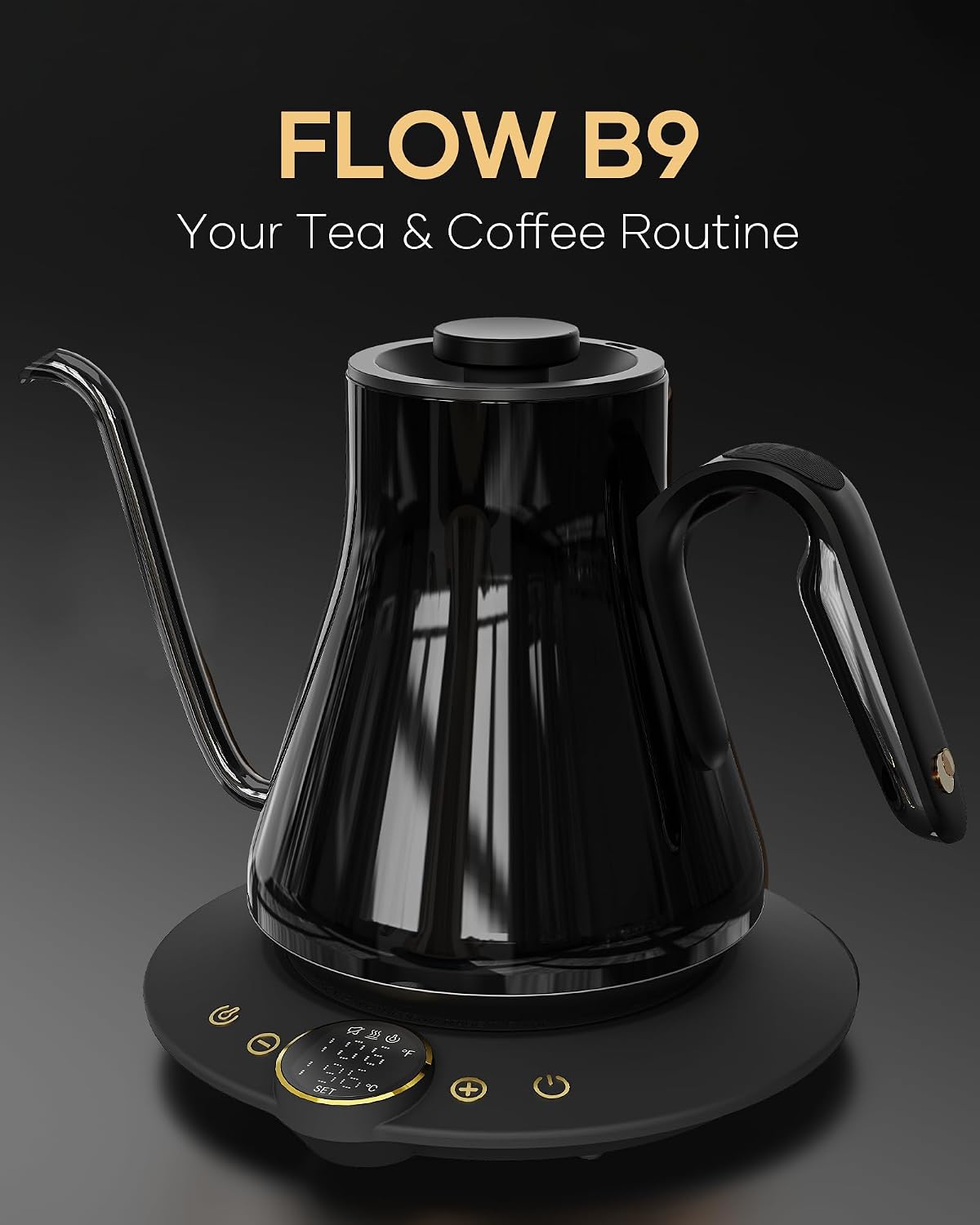 Gooseneck Electric Kettle, ±1° - огляд і ціна Electric Kettle Temperature Control